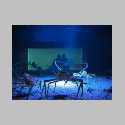 29 ze to sie rusza.html